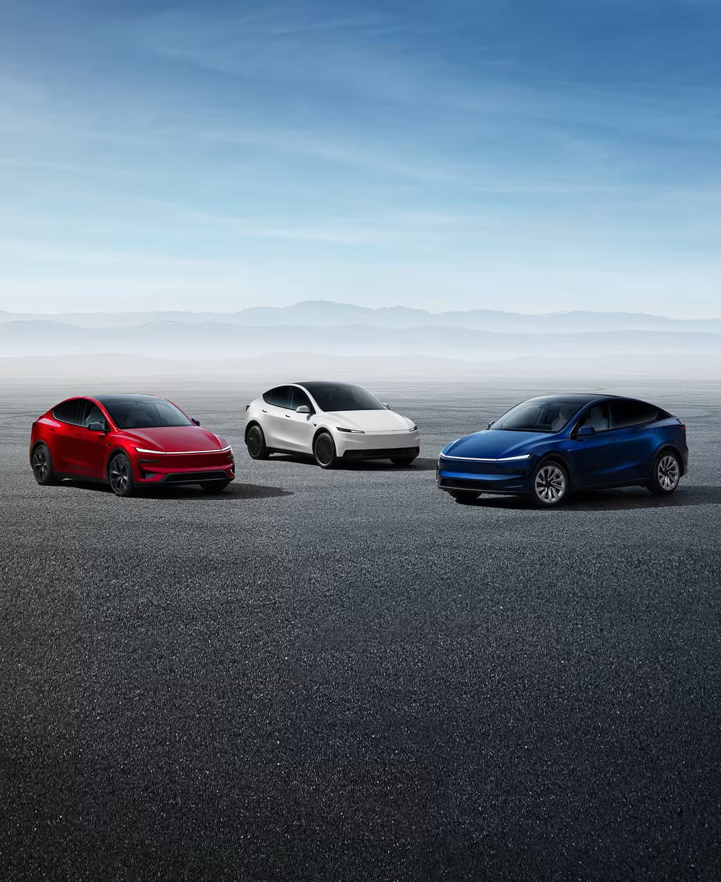 Tesla Network